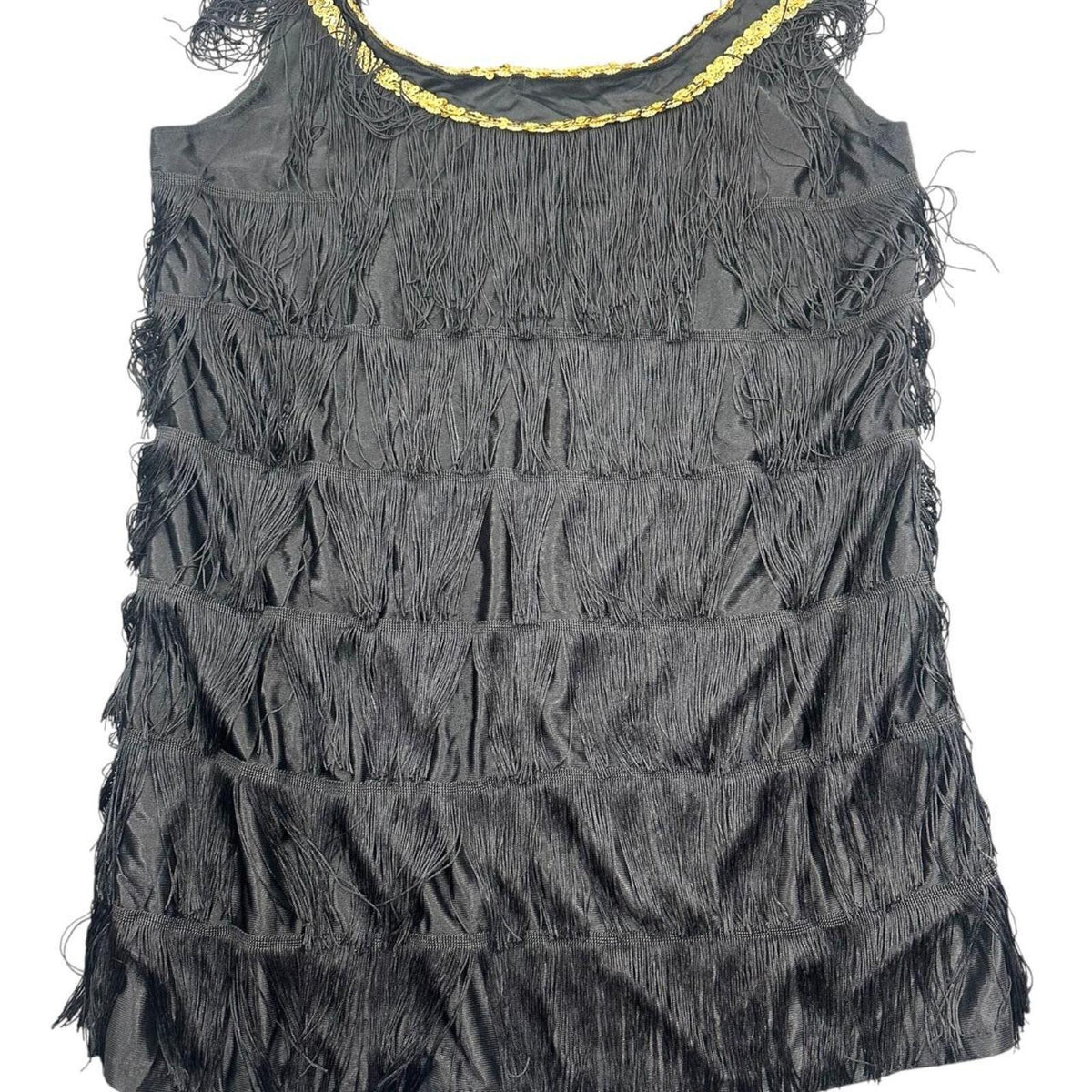 Black Fringe Flapper Dress 1920s Style Jazz Age Costume Dress