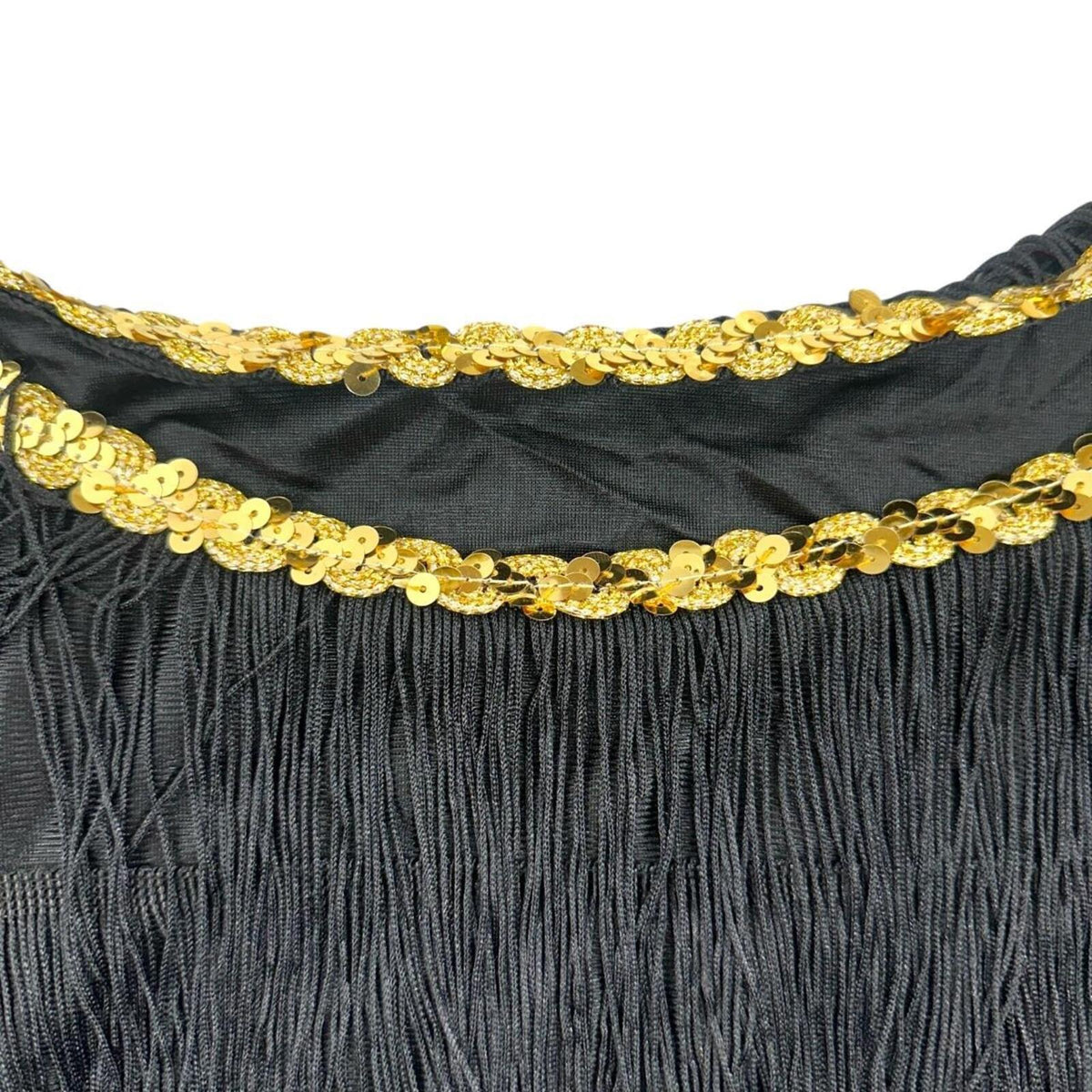 Black Fringe Flapper Dress 1920s Style Jazz Age Costume Dress