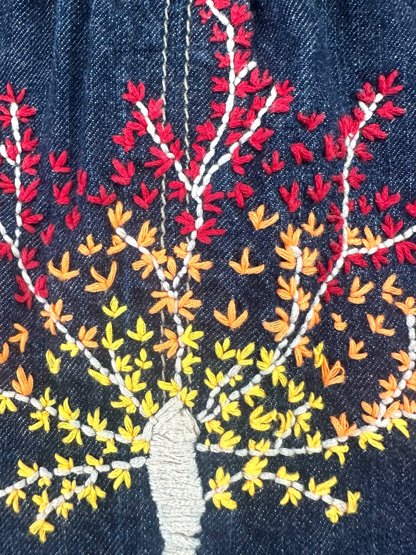 DKNY Jeans Denim Jacket with Custom Embroidery