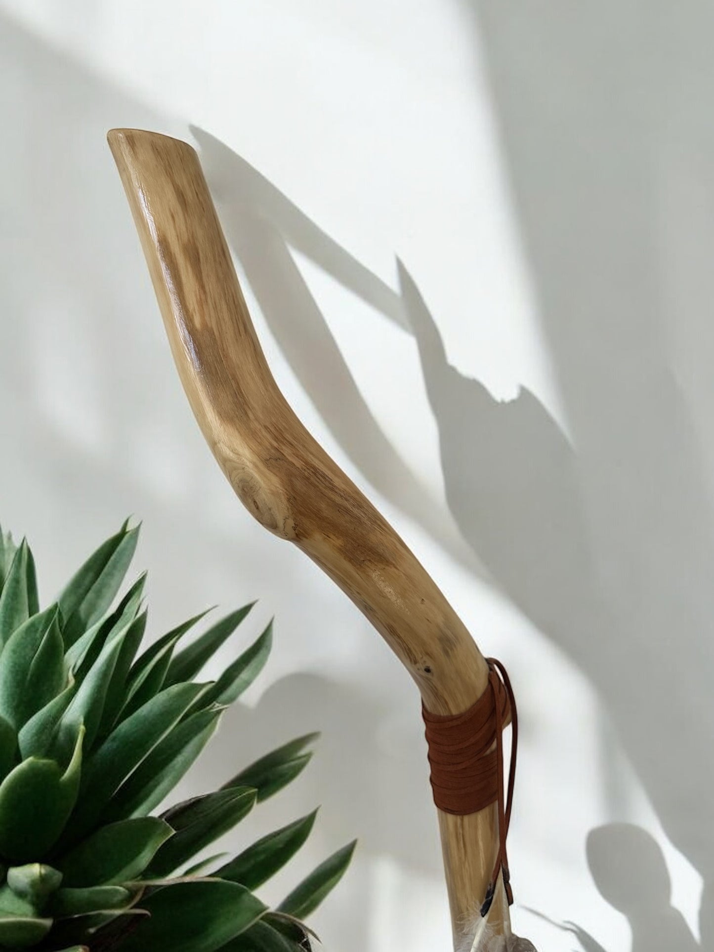 Crooked Cane