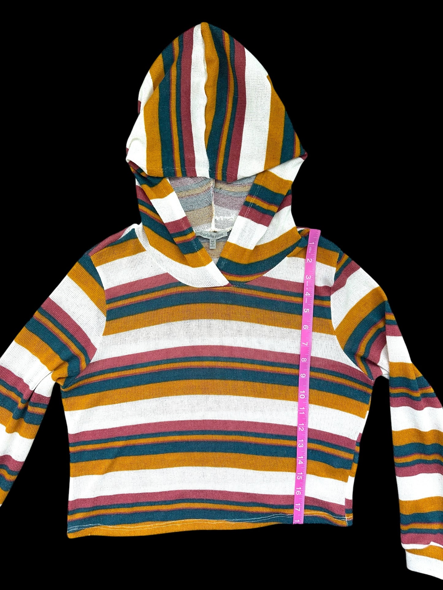 Multicolored Stripe Hoodie