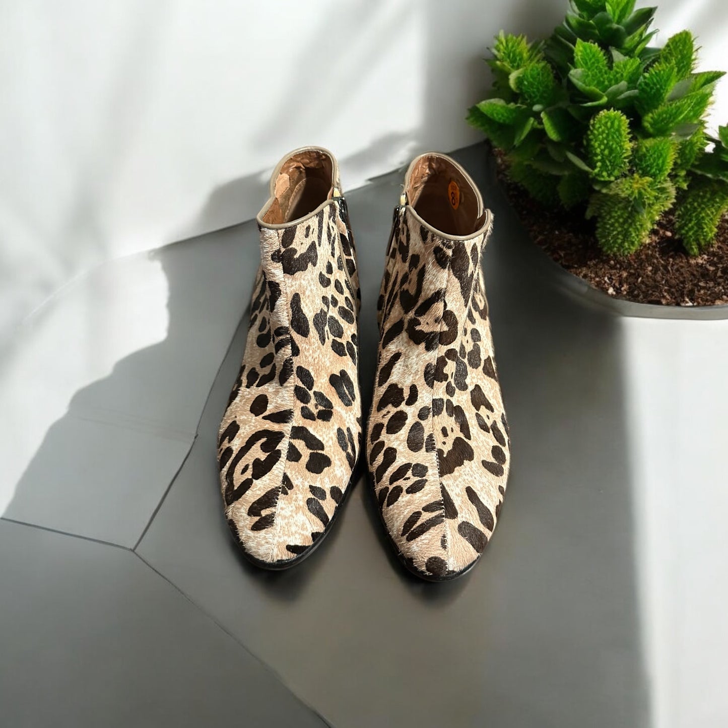 Sam Edelman Leopard Ankle Boot Size 8