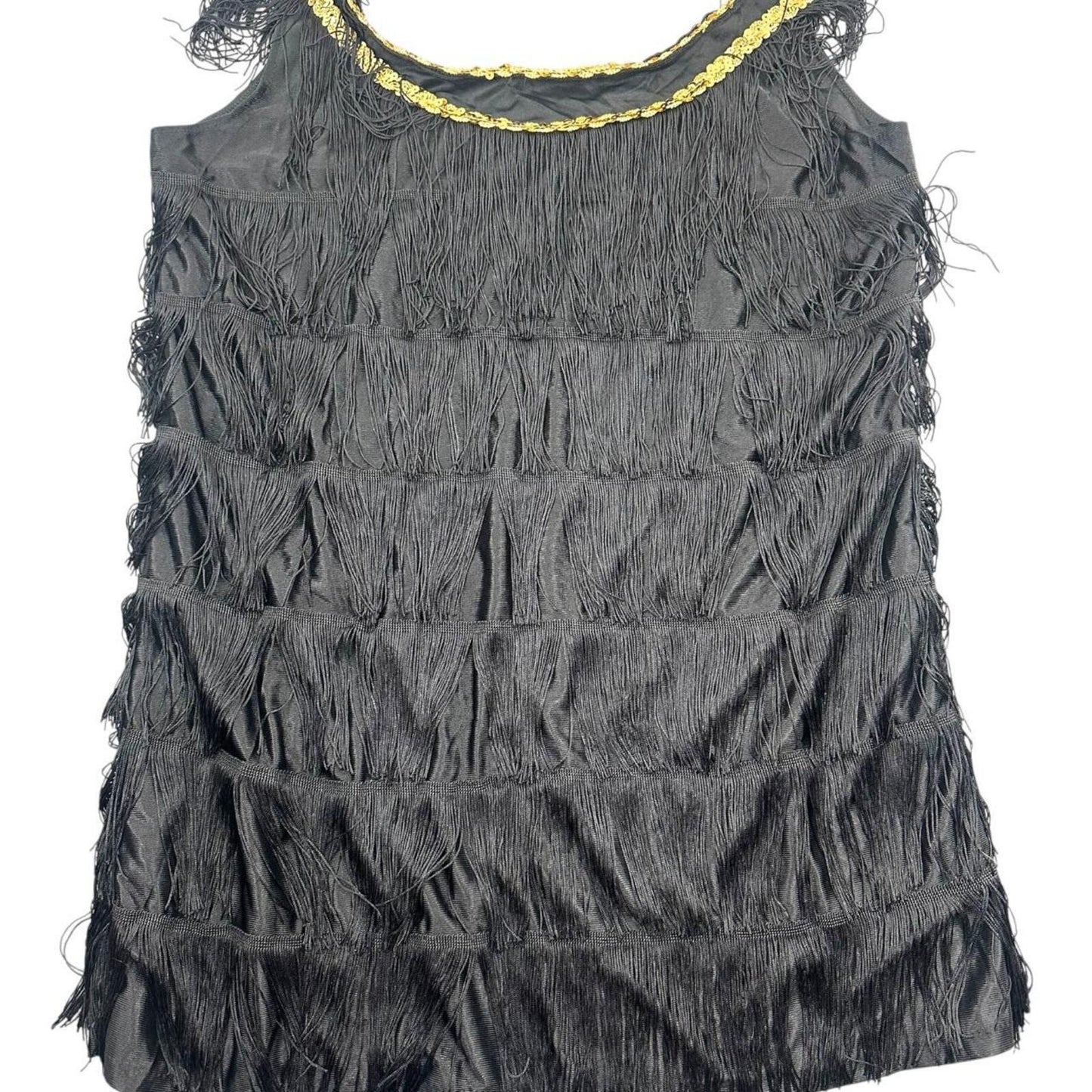 Black Fringe Flapper Dress 1920s Style Jazz Age Costume Dress