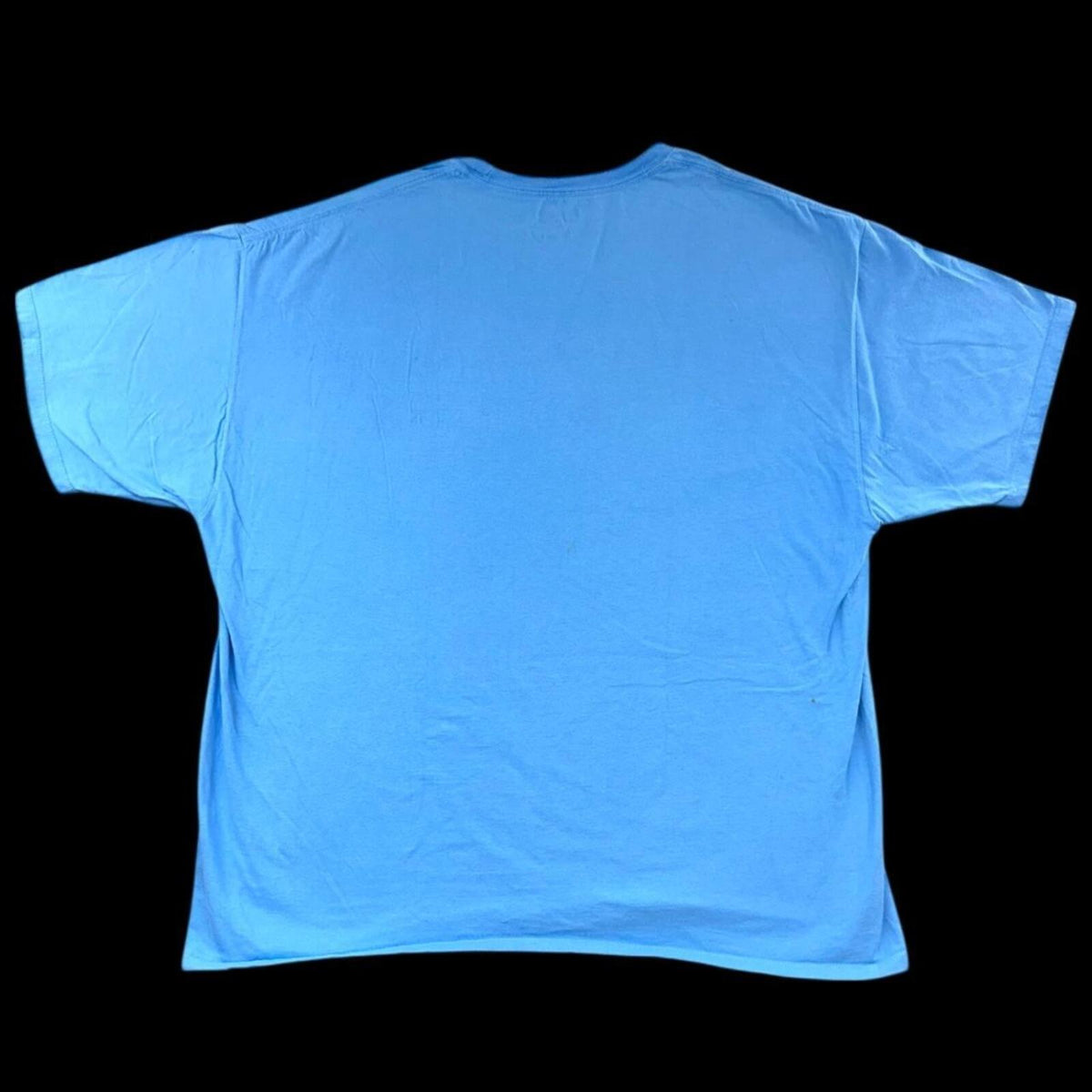 Champion Classic Light Blue Short Sleeve T Shirt Casual Streetwear Sporty Tee