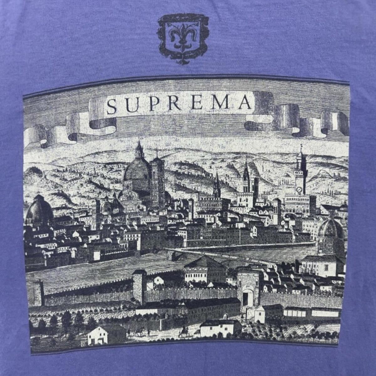 Supreme Fiorenza Tee Light Purple Grey Cityscape Graphic Streetwear Shirt