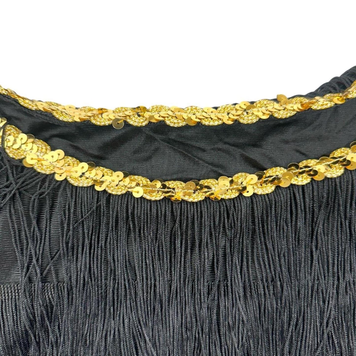 Black Fringe Flapper Dress 1920s Style Jazz Age Costume Dress