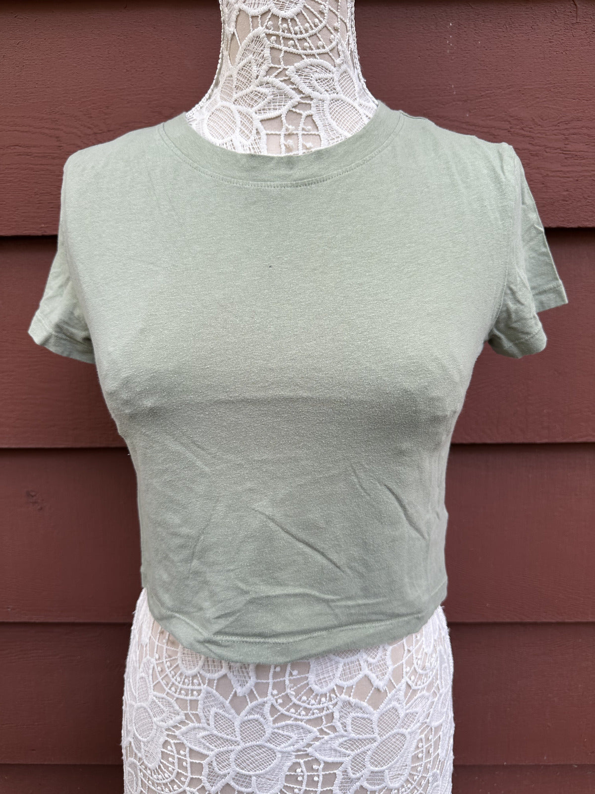Divided Sage Green Cropped Tee Casual Minimalist Streetwear Cotton Top