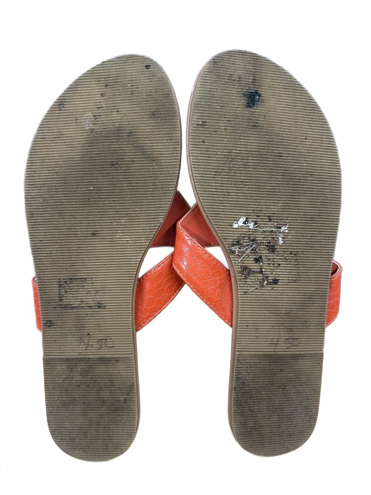 Chaps Orange Faux Croc Embossed Thong Sandals Casual Summer Footwear