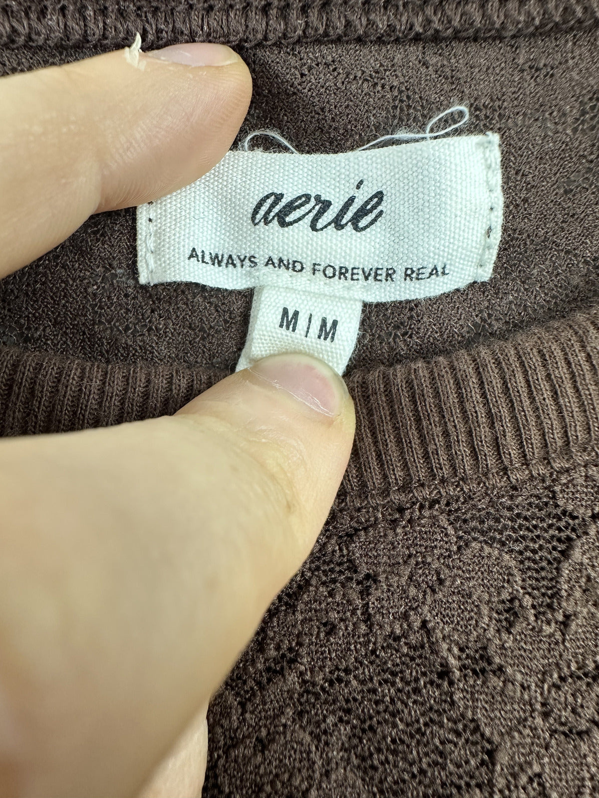 Aerie Brown Floral Lace Short Sleeve Top Sheer Bohemian Indie Summer Tee