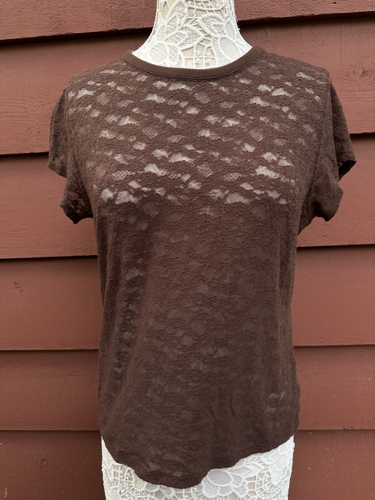 Aerie Brown Floral Lace Short Sleeve Top Sheer Bohemian Indie Summer Tee