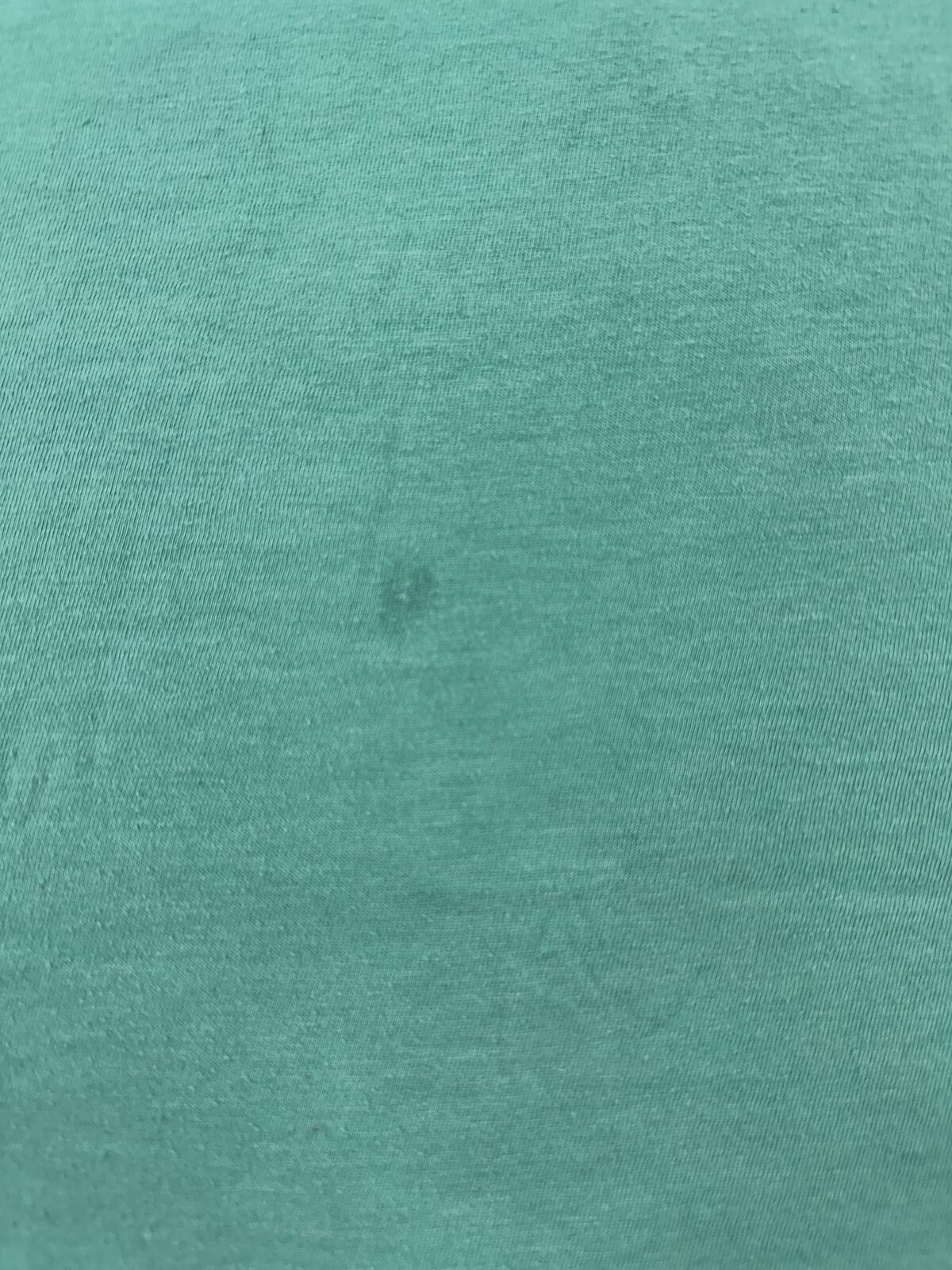Aéropostale Classic Crew Neck Turquoise Logo Tee Casual Streetwear Minimalist