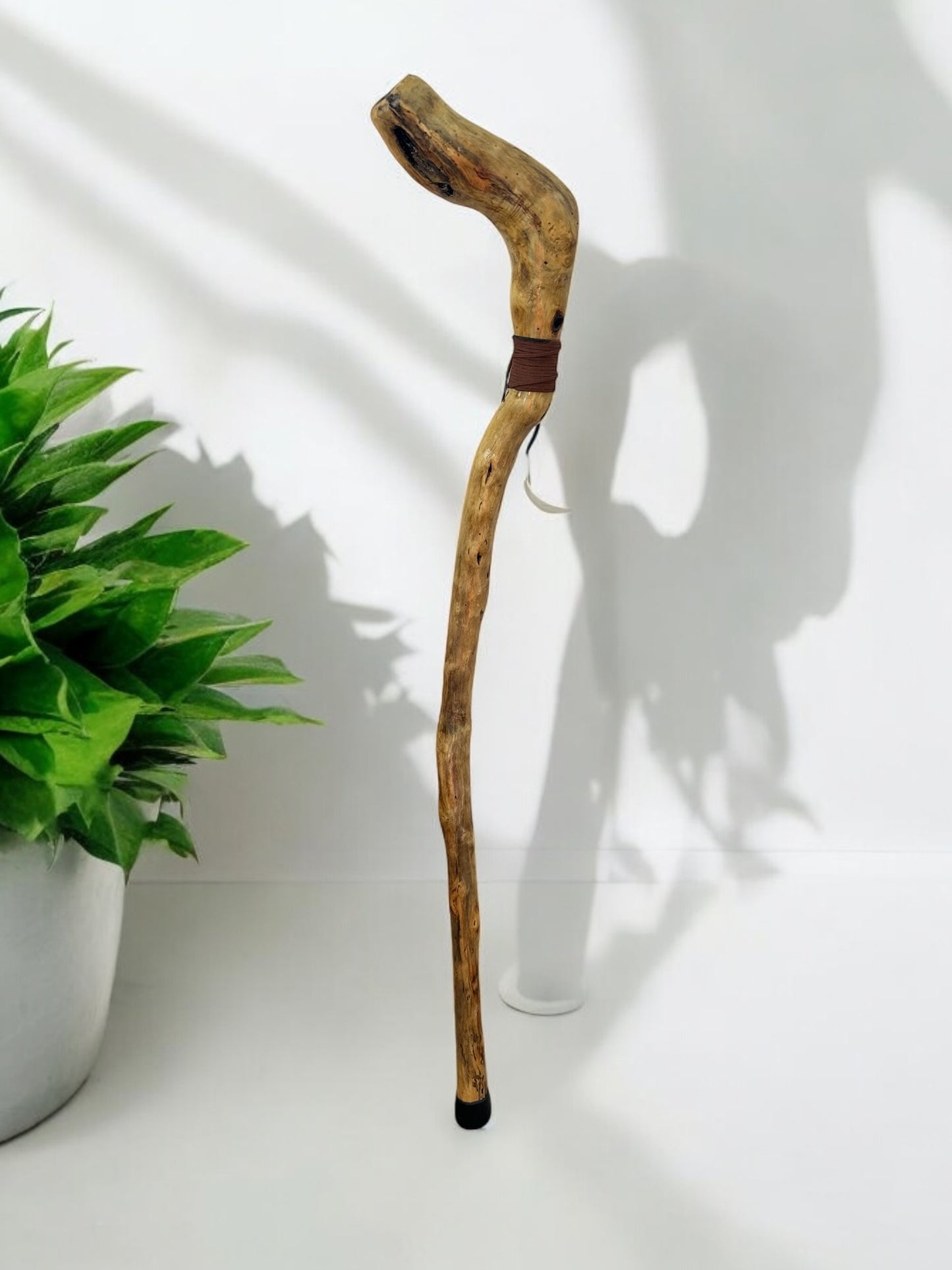 Natures Handle Cane