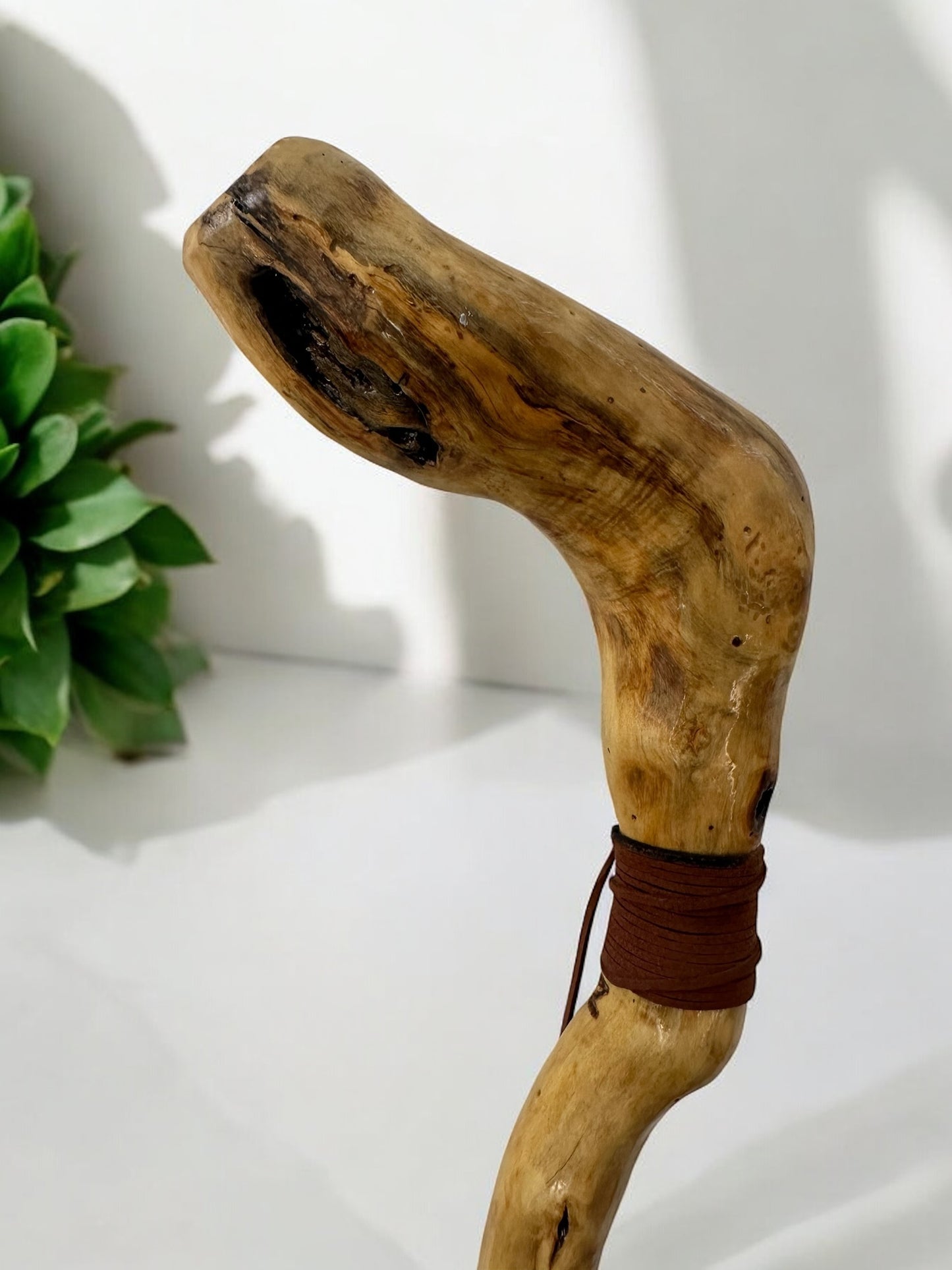 Natures Handle Cane