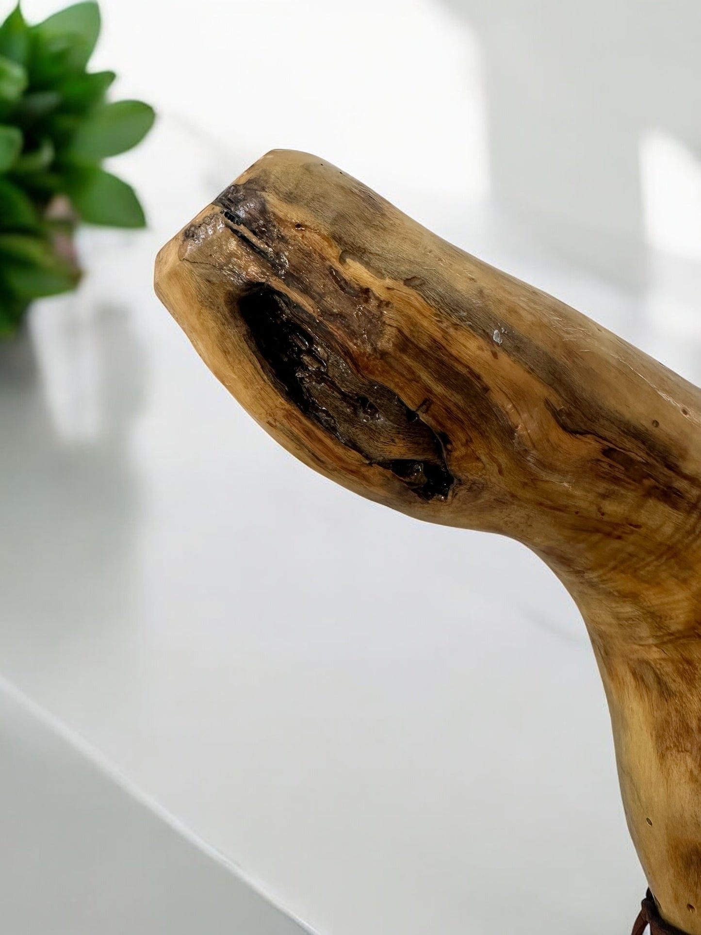 Natures Handle Cane