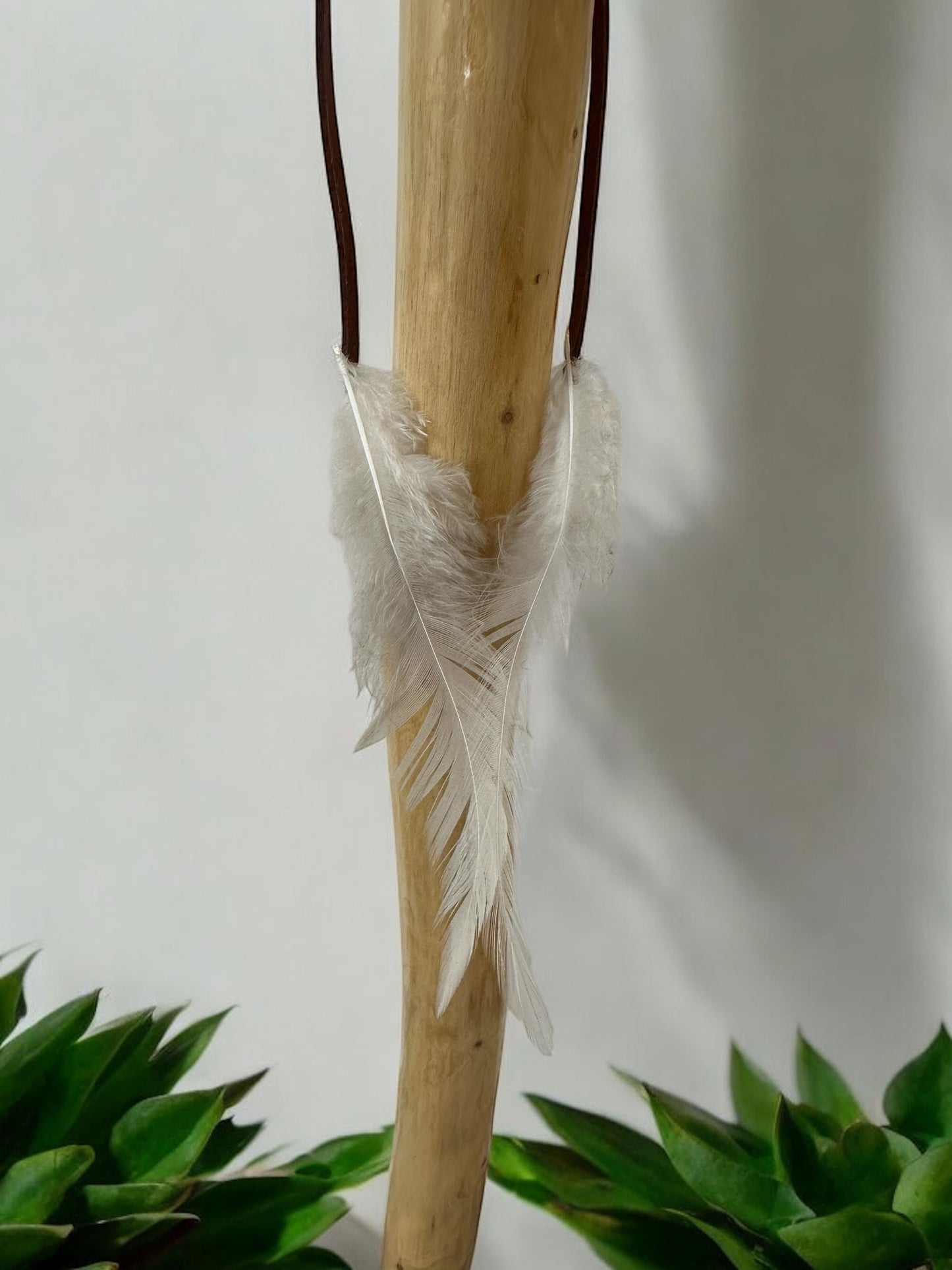 Cane with White Feathers