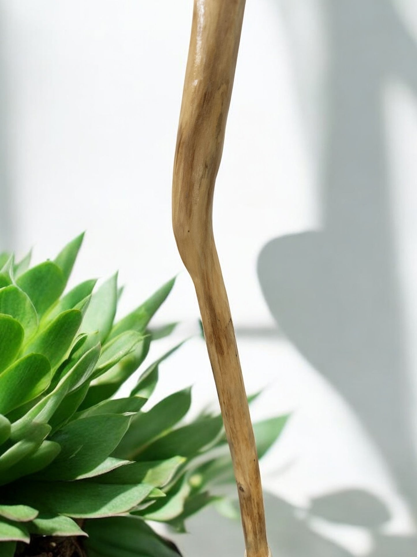 Natural Cane