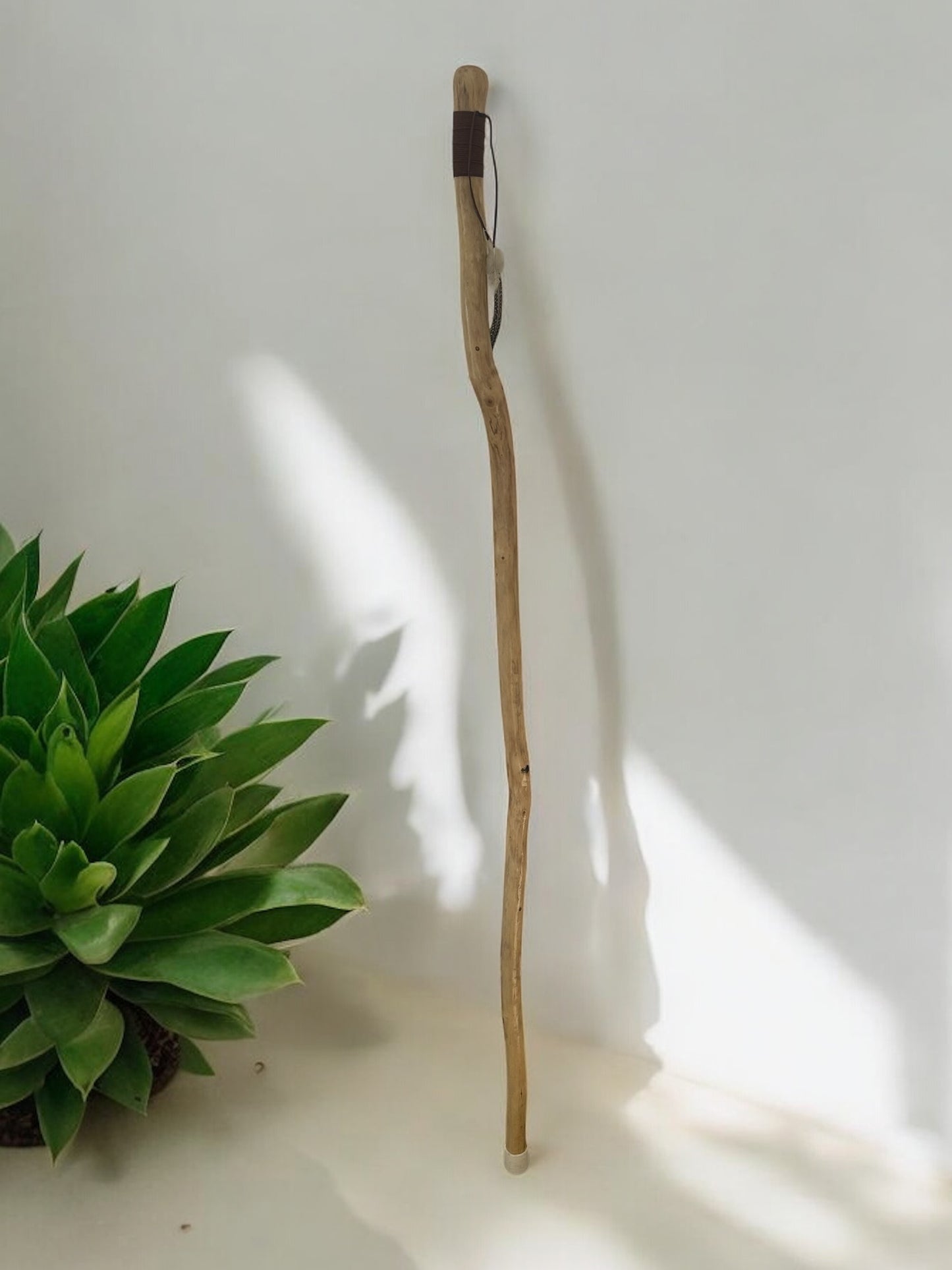 Natural Cane