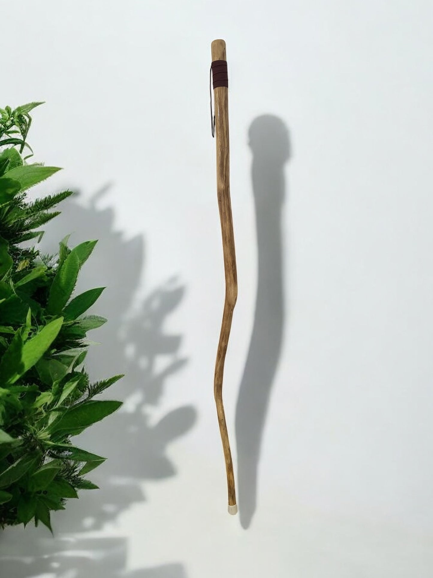 Forged Cane