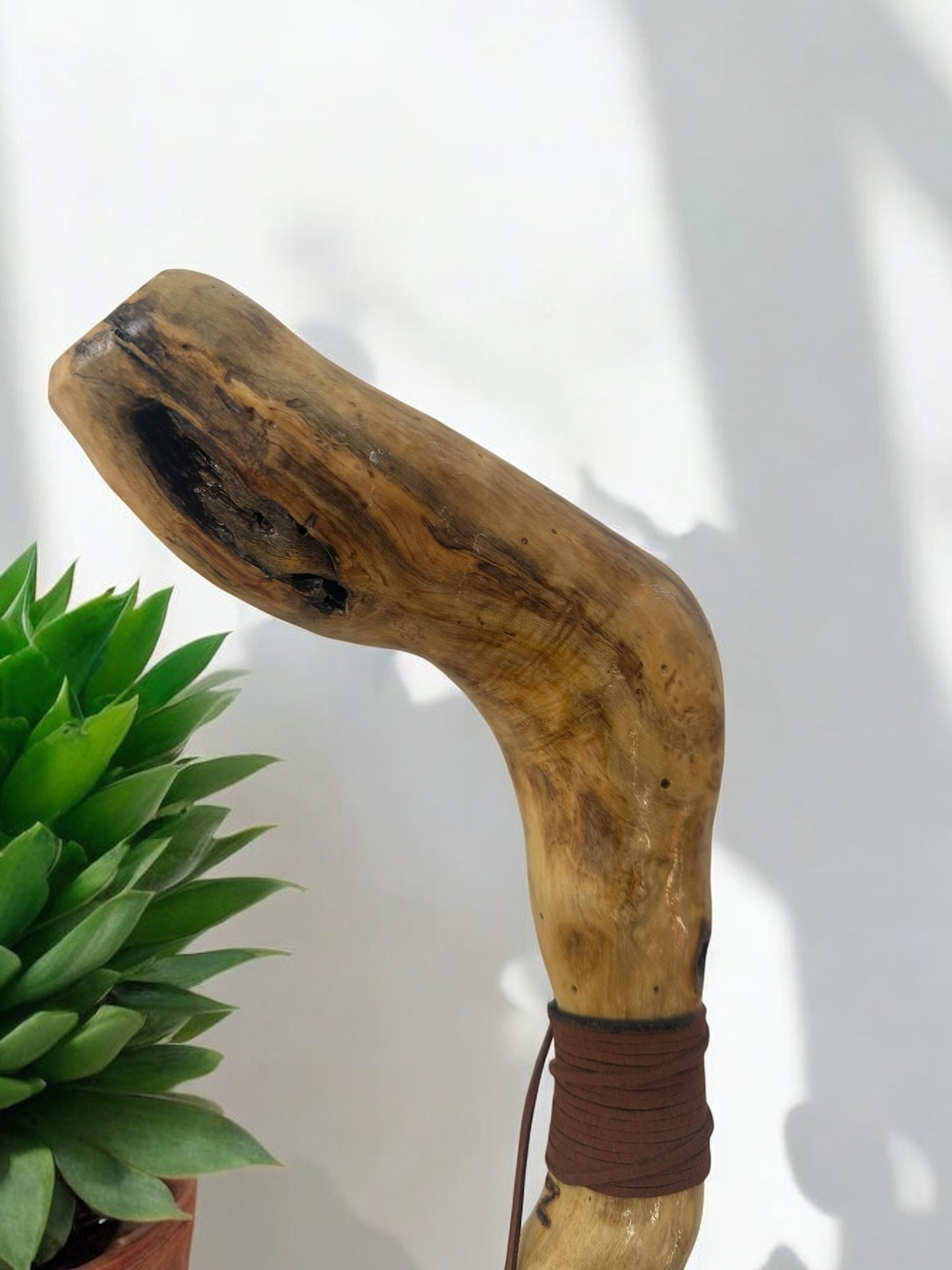 Natures Handle Cane