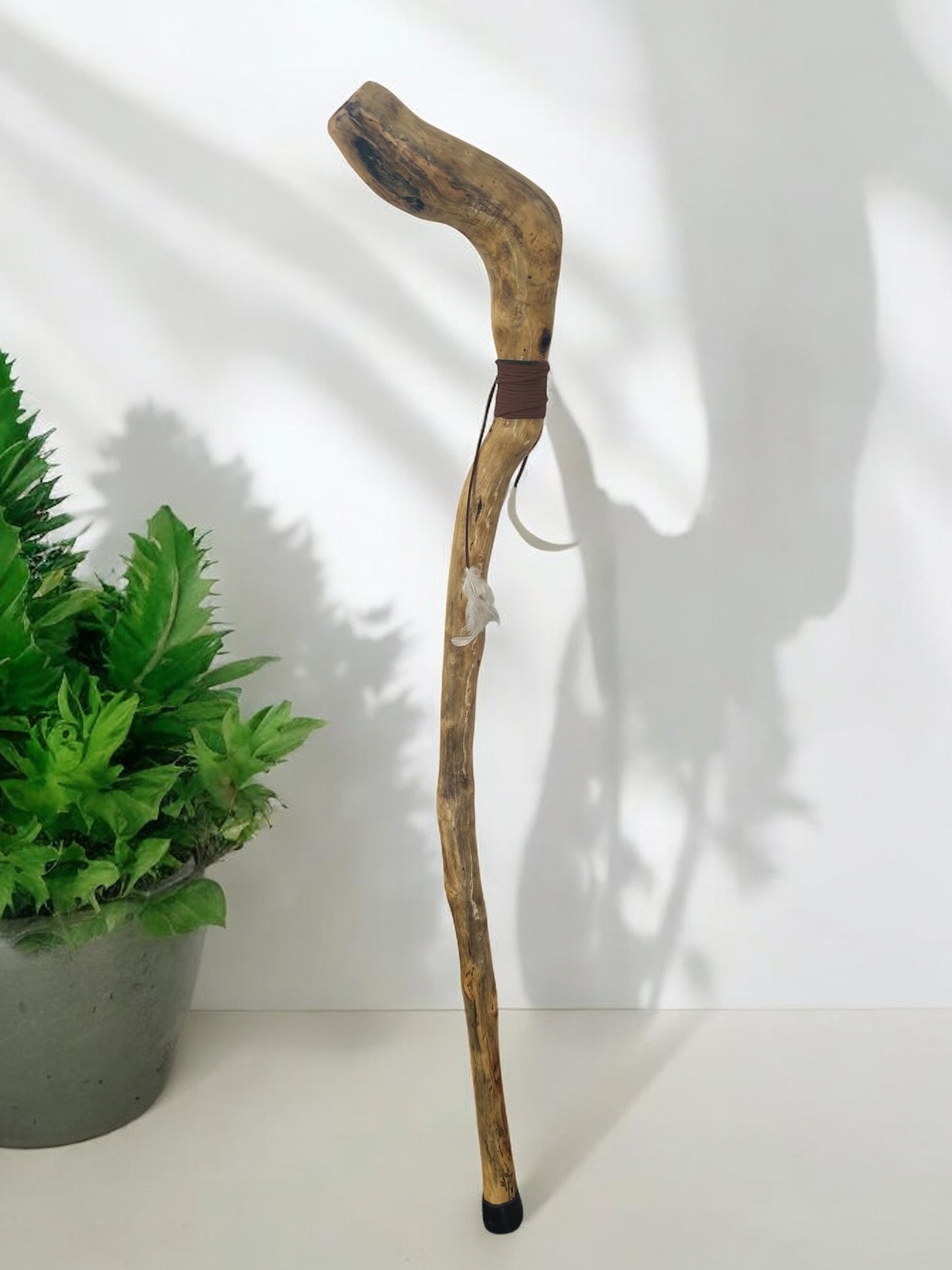 Natures Handle Cane