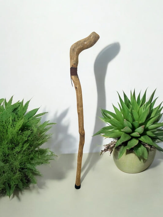 Natures Handle Cane