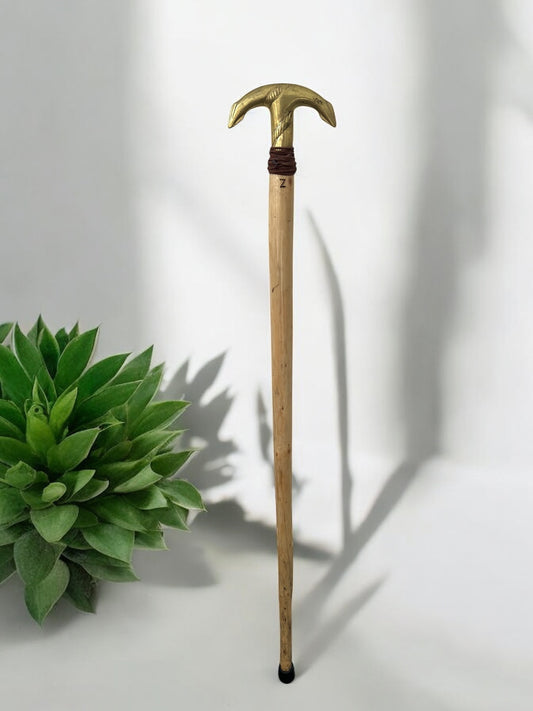 Anchor Handle Cane