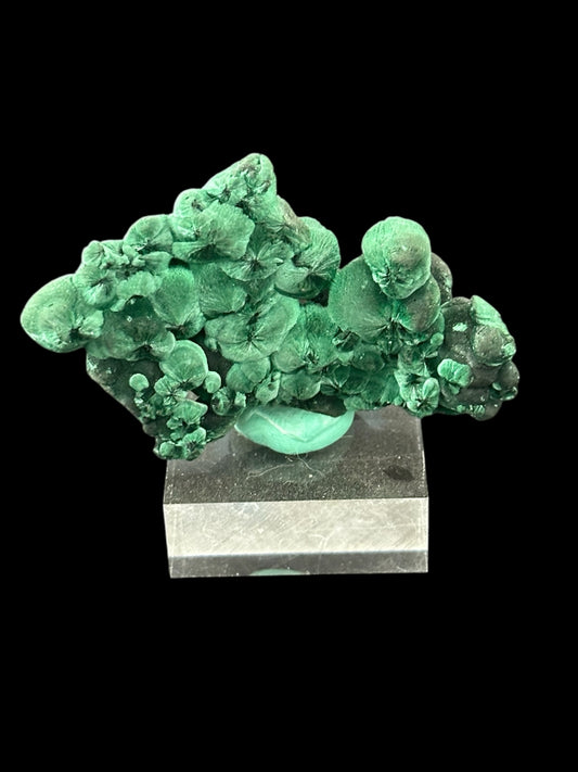 Velvet Malachite