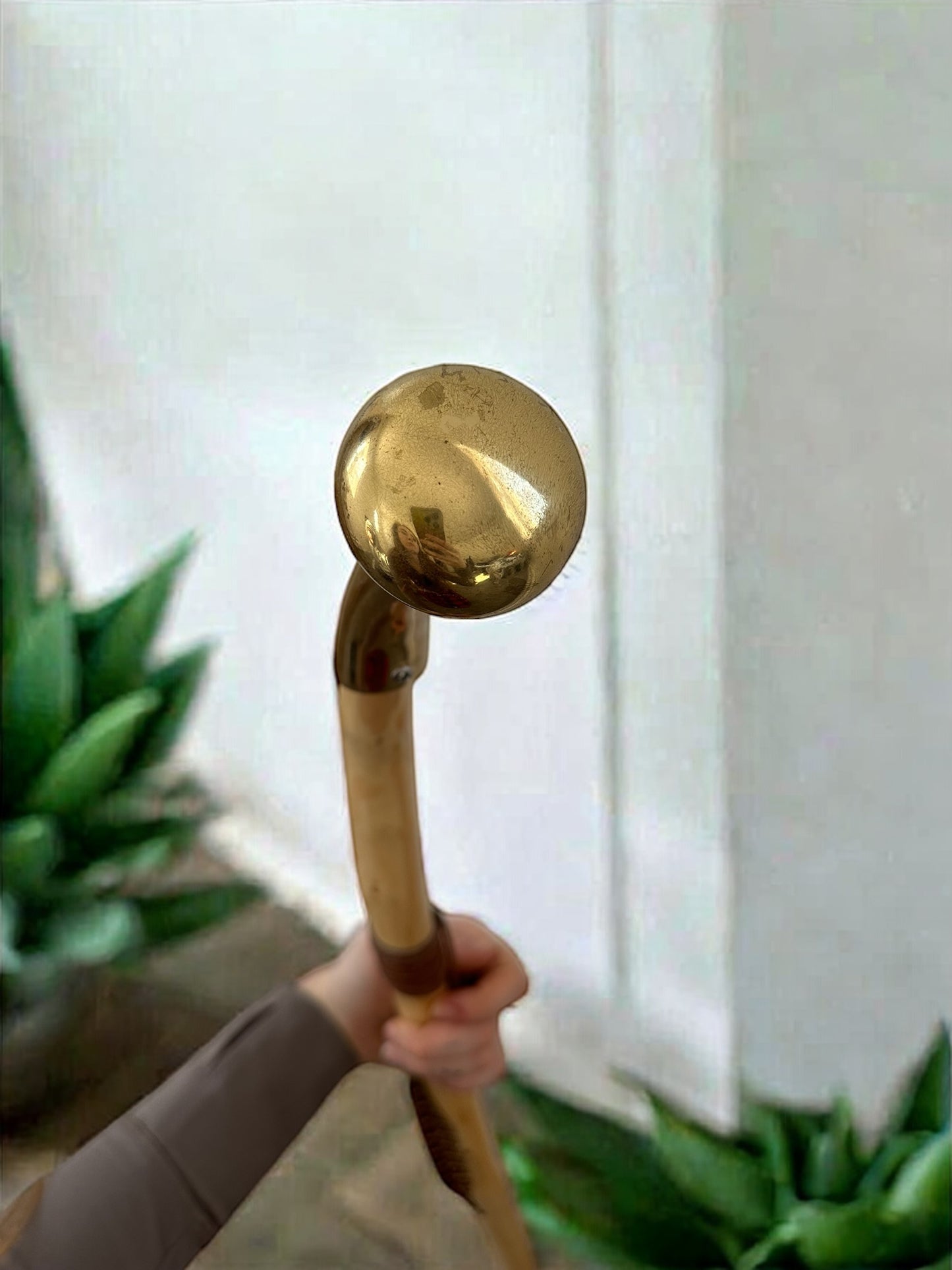 Gold Knob Cane