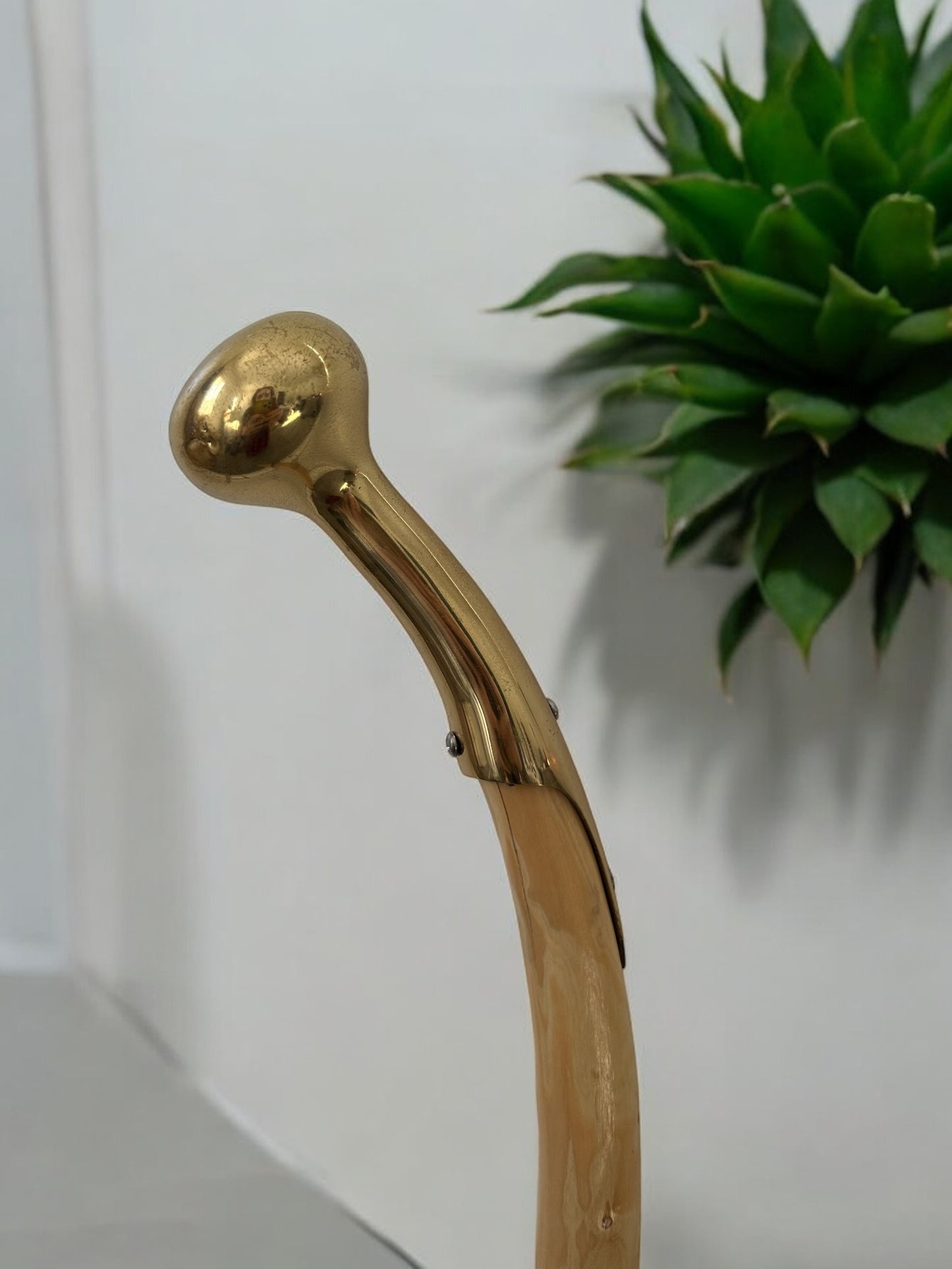 Gold Knob Cane