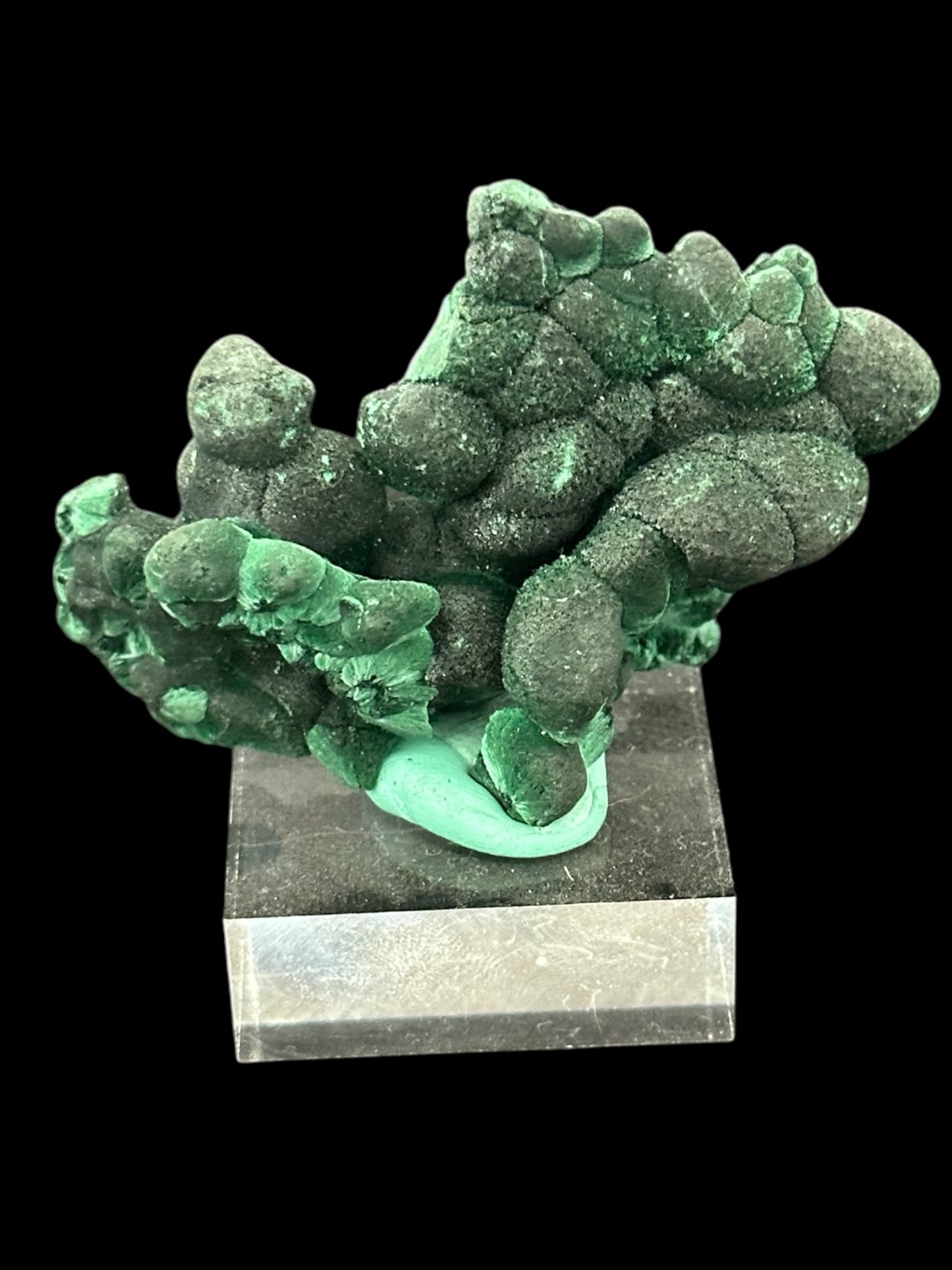 Velvet Malachite