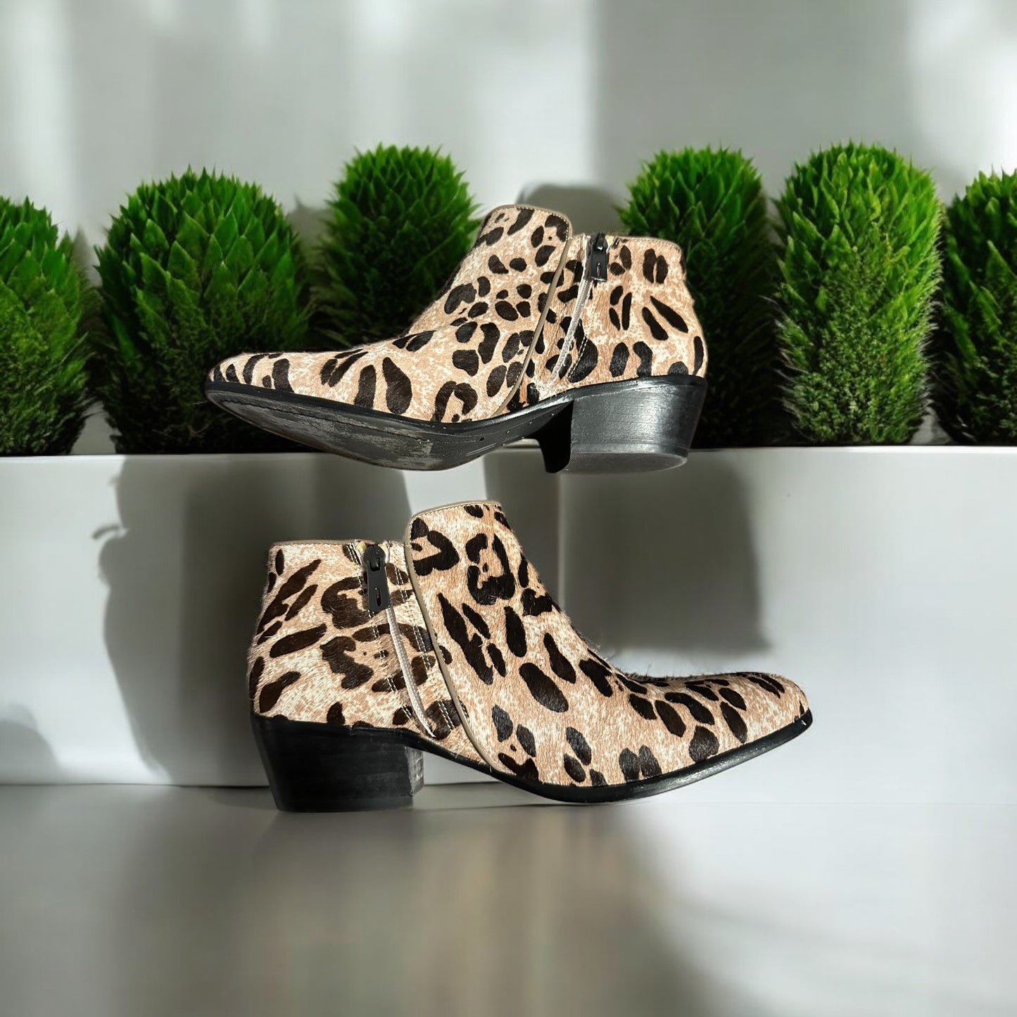 Sam Edelman Leopard Ankle Boot Size 8