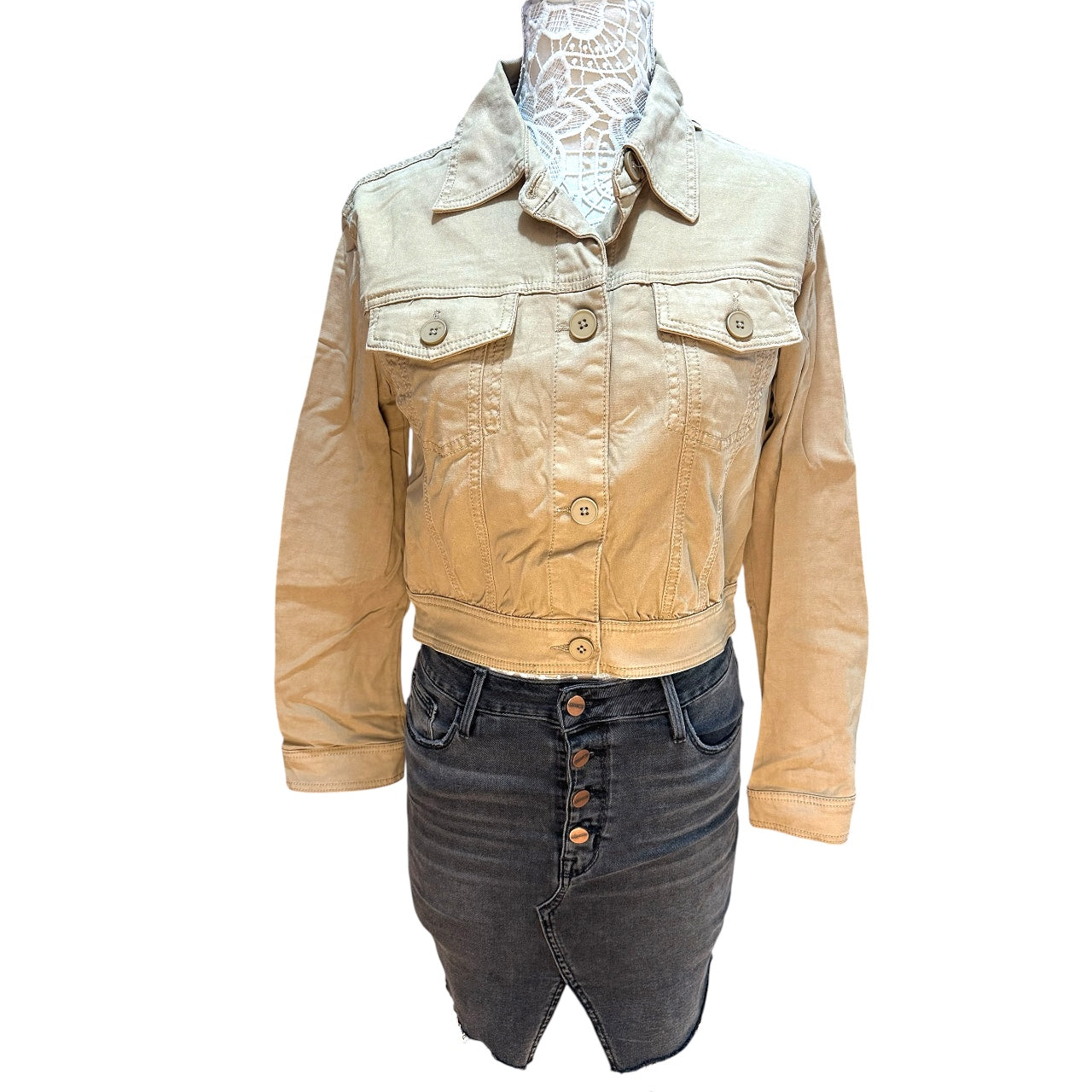 KUT from the Kloth Elle Crop Denim Jacket